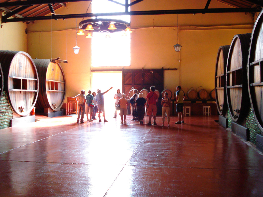 Wine bodega tour in Mendoza, Argentina